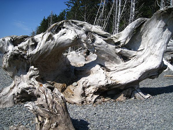 Rialto Beach