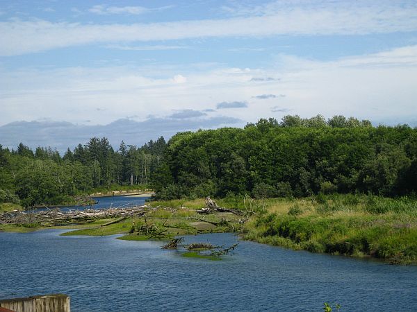 Quillayute River