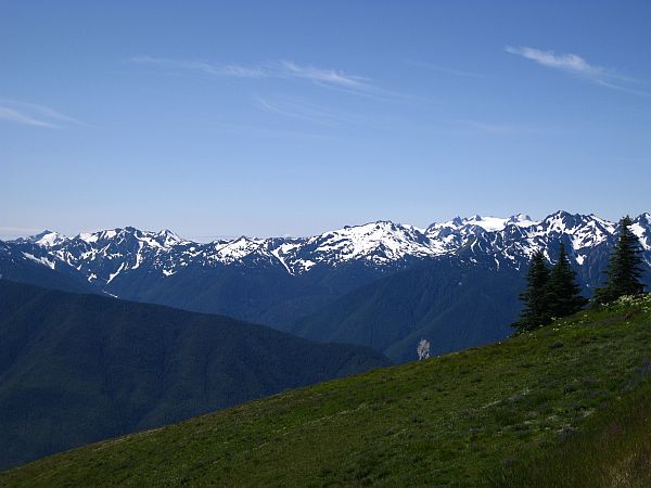 Olympic Mountains