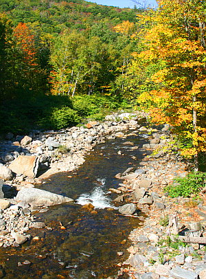 Vermont Foliage