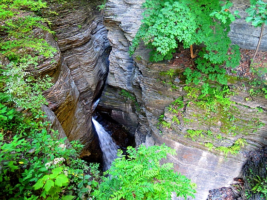 Watkins Glen State Park