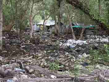 Phi Phi Island Trash