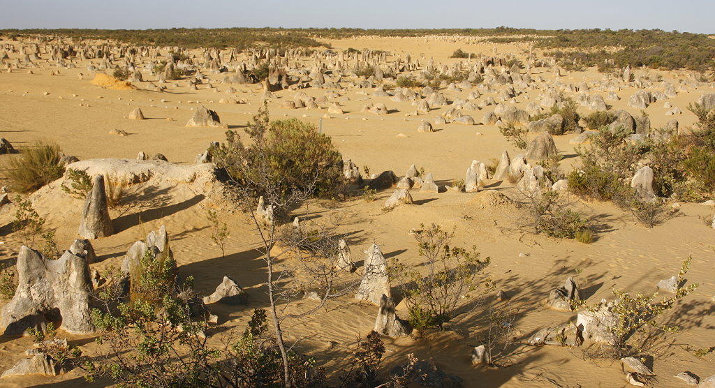 Pinnacles Desert