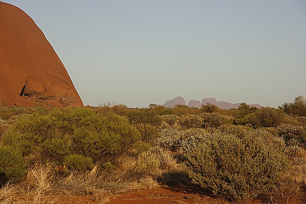 Die Olgas - vom Ayers Rock aus gesehen