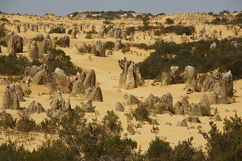 Pinnacles Desert