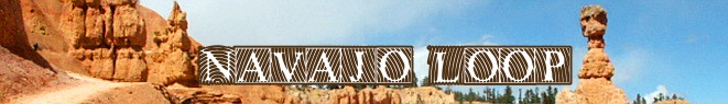 bannernavajo