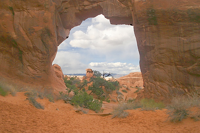 Arches Park - Pine Tree Arch