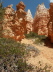 Bryce Canyon - Navajo Loop