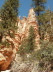 Bryce Canyon - Navajo Loop