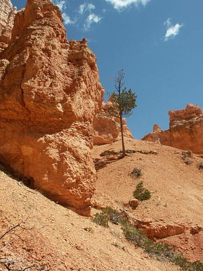 Bryce Canyon - Navajo Loop