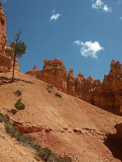 Bryce Canyon - Navajo Loop