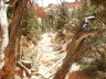 Bryce Canyon - Navajo Loop