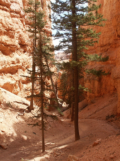 Bryce Canyon - Navajo Loop