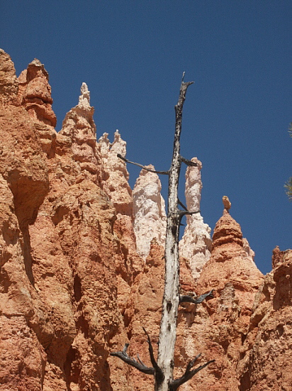 Bryce Canyon - Navajo Loop