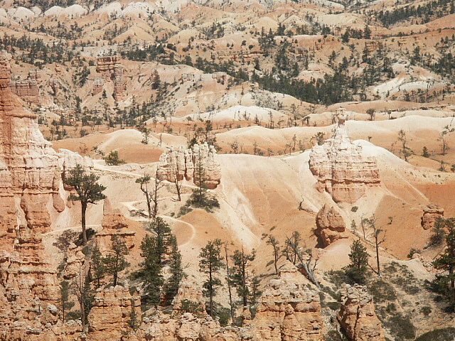 Bryce Canyon - Navajo Loop