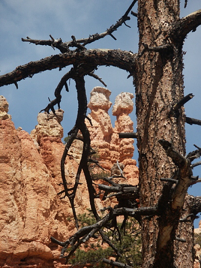 Bryce Canyon - Navajo Loop