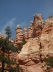 Bryce Canyon - Navajo Loop