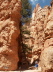 Bryce Canyon - Navajo Loop