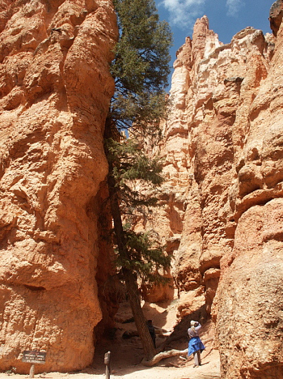 Bryce Canyon - Navajo Loop