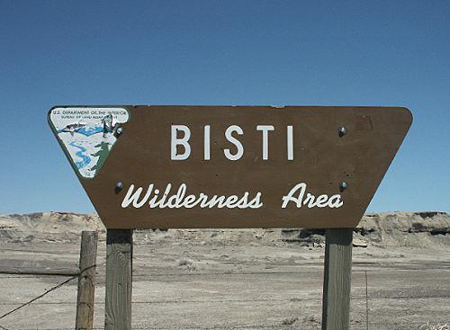 Bisti Wilderness Area