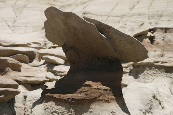 Bisti Wilderness Area North Unit