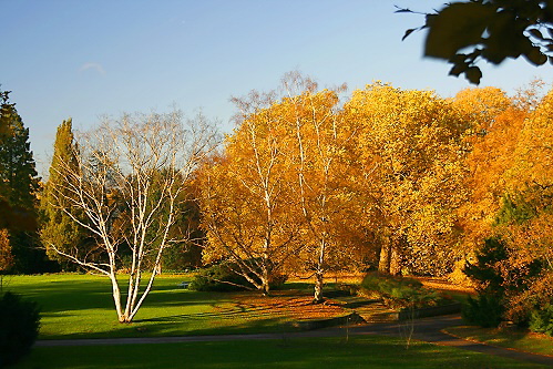 Indian Summer 2006 in Bochum 