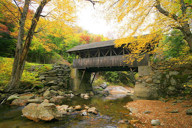 Flume Bridge