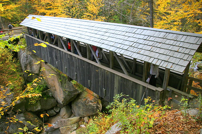 Sentinel Pine Bridge