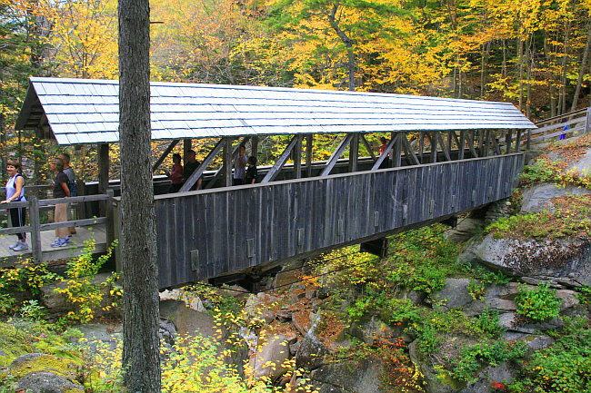 Sentinel Pine Bridge