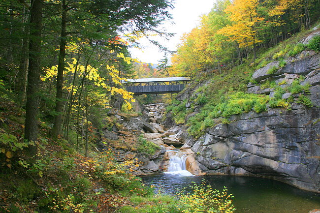 Sentinel Pine Bridge