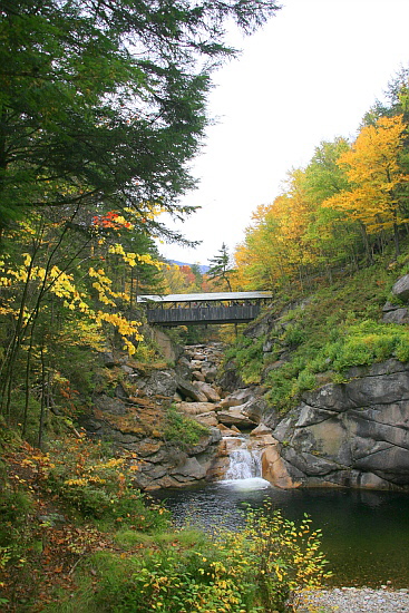 Sentinel Pine Bridge