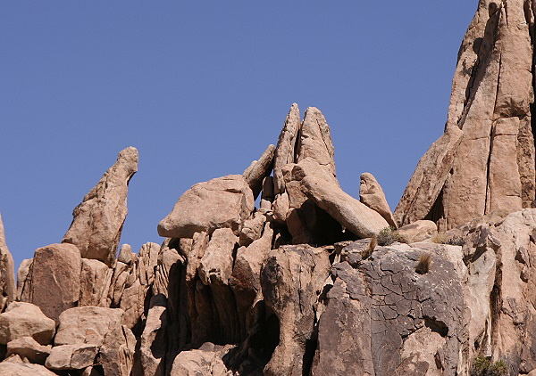 Joshua Tree National Park