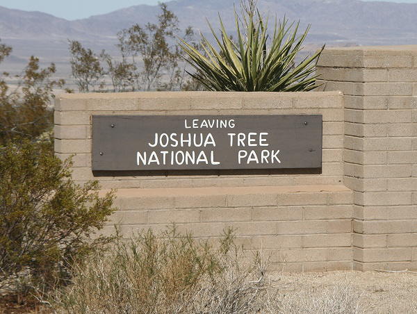 Joshua Tree National Park