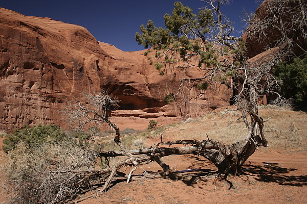 Mystery Valley