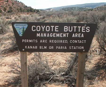 North Coyote Buttes