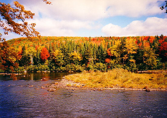 Indian Summer - New England