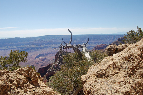 Grand Canyon - North Rim