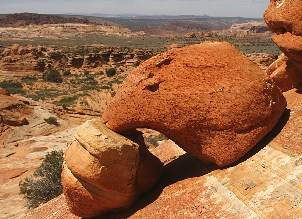 South Coyote Buttes