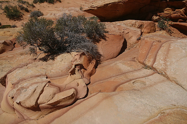 South Coyote Buttes
