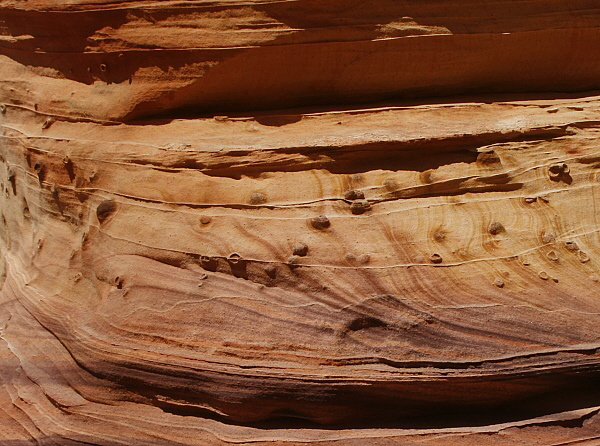 South Coyote Buttes