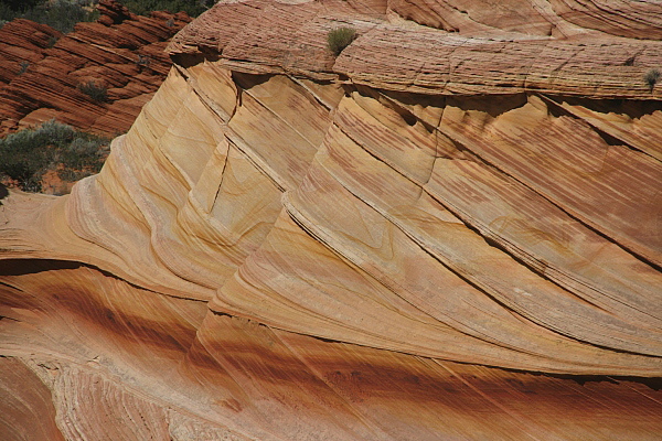South Coyote Buttes