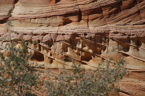 South Coyote Buttes