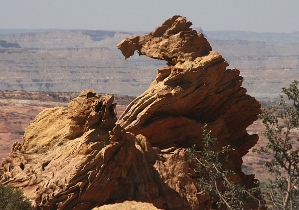 South Coyote Buttes