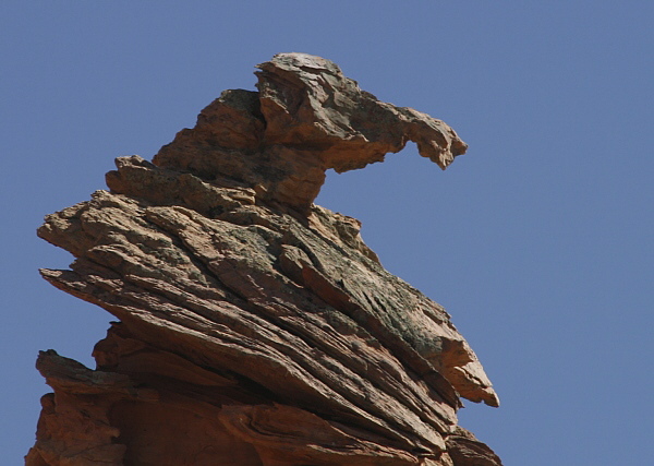 South Coyote Buttes