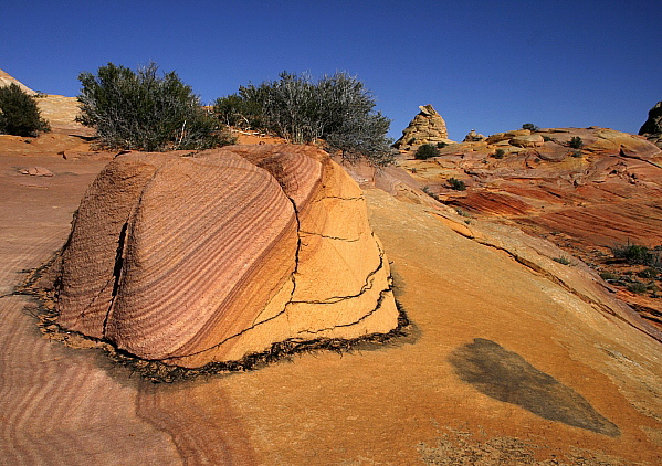 South Coyote Buttes