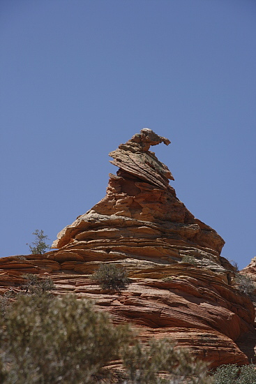 South Coyote Buttes