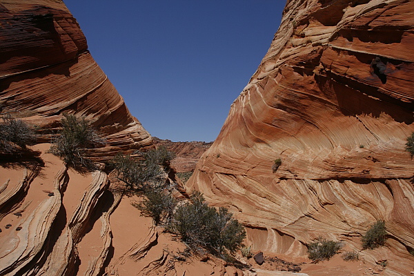 South Coyote Buttes