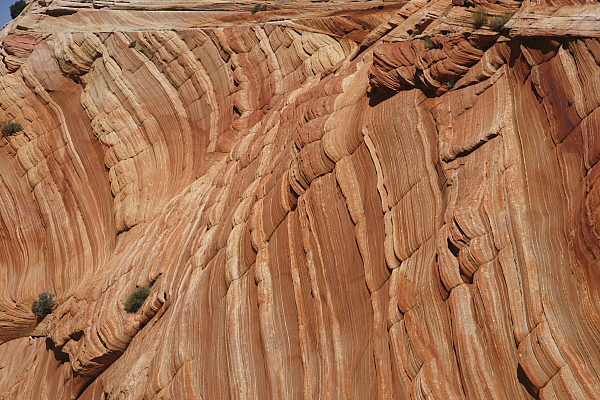 South Coyote Buttes