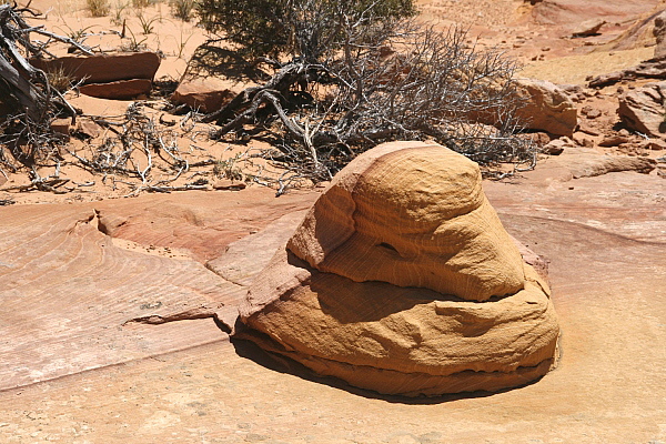 South Coyote Buttes