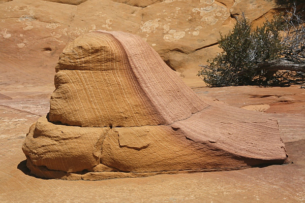 South Coyote Buttes